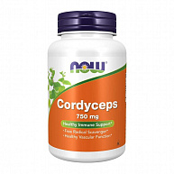 Кордицепс CORDYCEPS 750MG NOW, 90 капс.