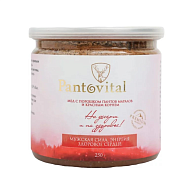 Мёд "Pantovital" с порошком пантов марала и Красным корнем, 250 гр