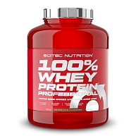 Протеин 100% Whey Protein Professional, Scitec Nutrition