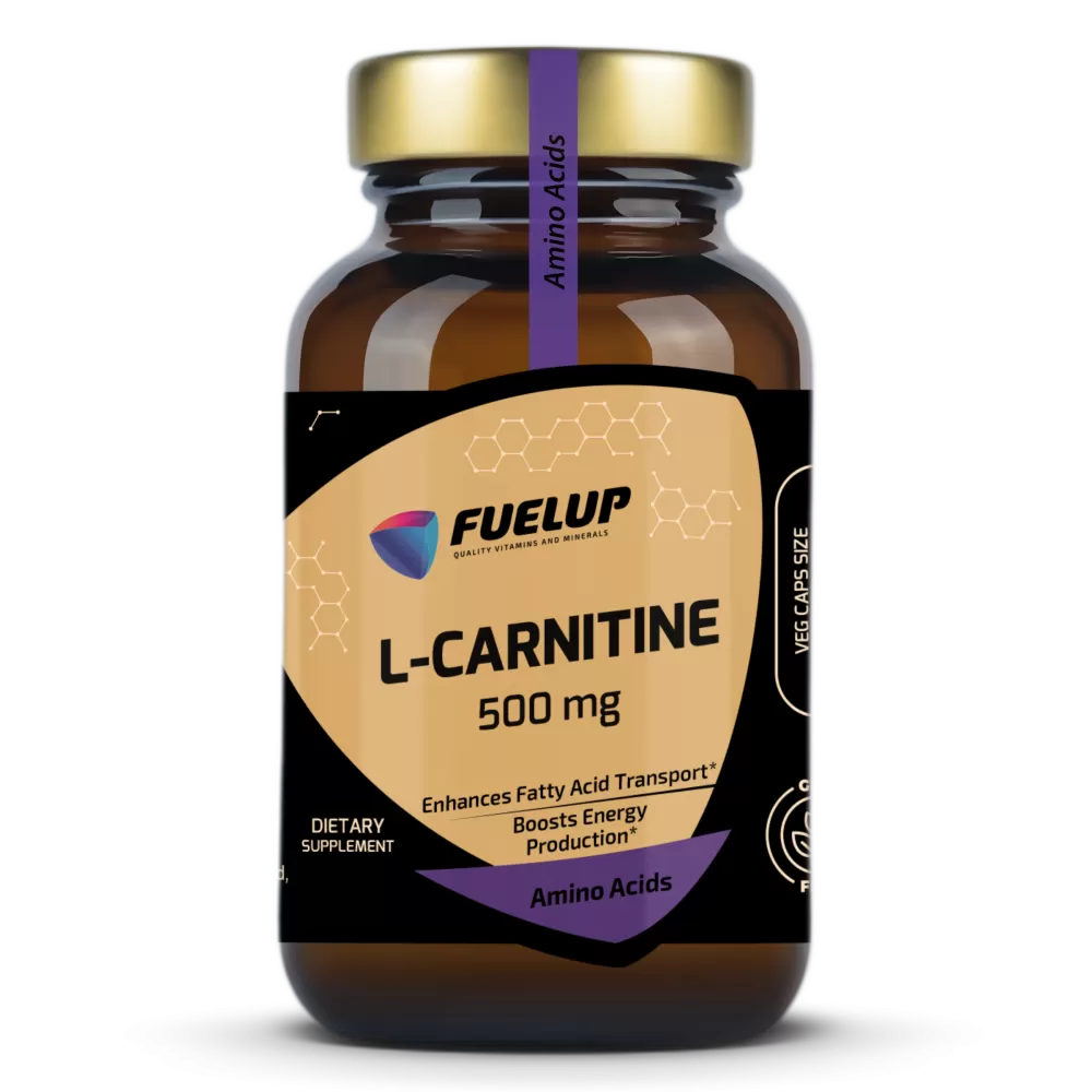 l-carnitine universal Nutrex Research Liquid Carnitine 3000 potentially aiding in fat metabolism and endurance NutriVerSum L-Carnitine